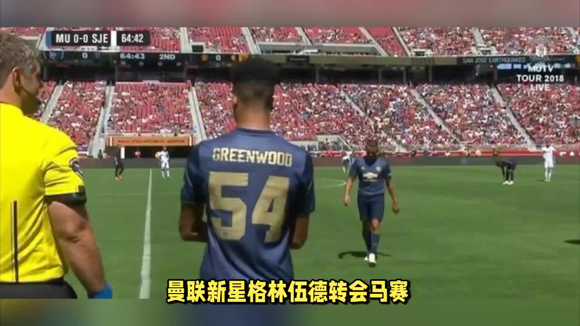 林队